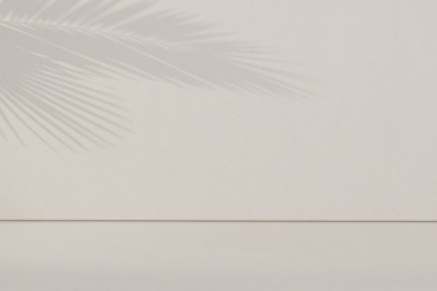 空的房间墙壁与纹理热带树叶的阴影，最小的粉彩米色夏季抽象背景的产品介绍和对象展示。三维渲染图片下载