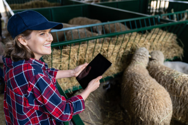 农妇在羊圈里拿着石碑图片下载