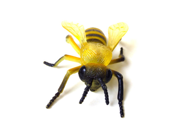 白色背景上孤立的蜜蜂玩具特写。图片下载