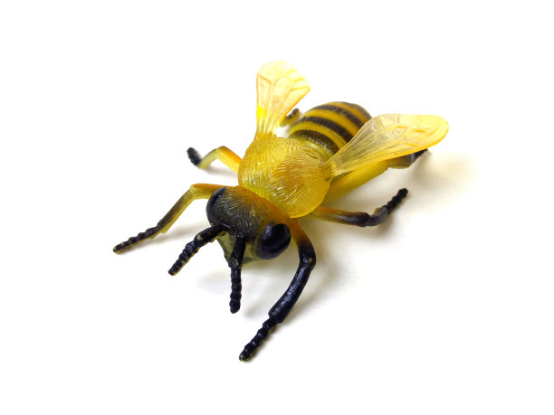 白色背景上孤立的蜜蜂玩具特写。图片下载