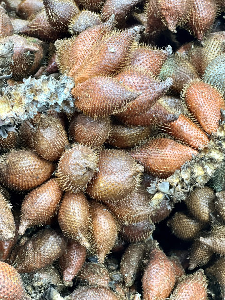 一张照片上有一堆水果坐在地上，有很多水果一起坐在地上图片下载