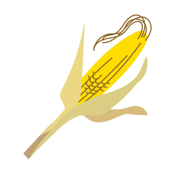 干玉米-夏季蔬菜的单一插图图片下载