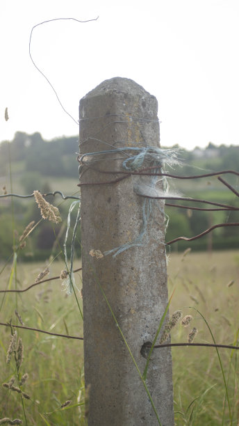 农田里的混凝土纠察队图片下载