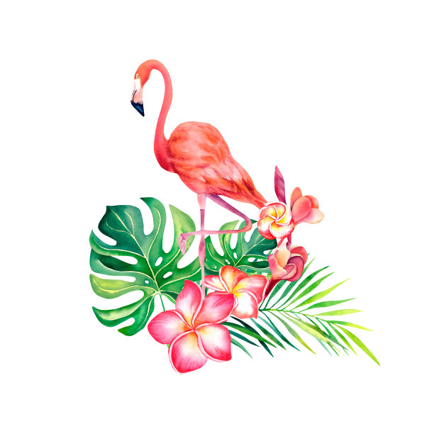 粉红色的火烈鸟。在孤立背景上的怪物、棕榈枝和鸡蛋花的构图。一只外来的鸟。水彩插图。图片下载