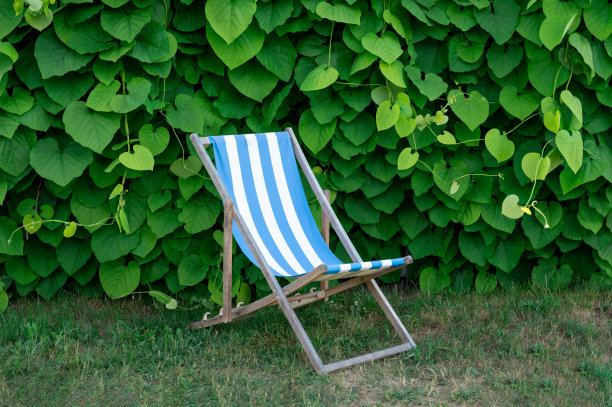 躺椅立在靠近植物墙的草地上图片下载