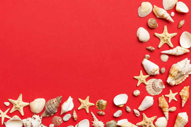 在彩色的桌子上平铺着美丽的海星和海贝壳的构图，顶部有文字的复制空间图片下载