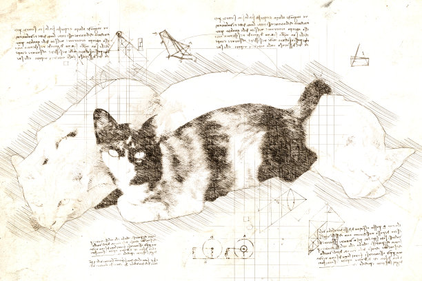 一群看起来像达芬奇风格的猫图片下载