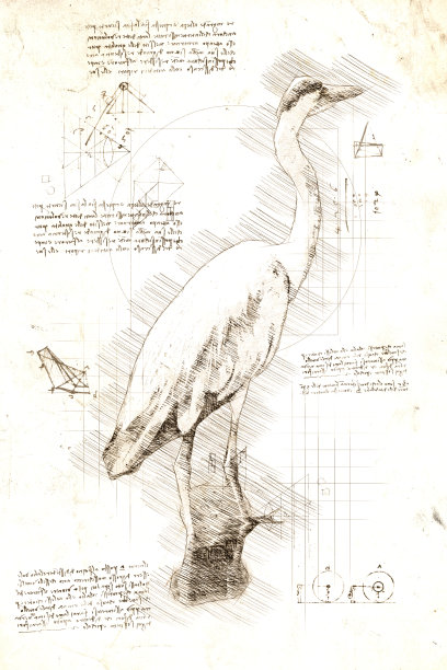 达芬奇风格的水中鹤鸟素描图片下载