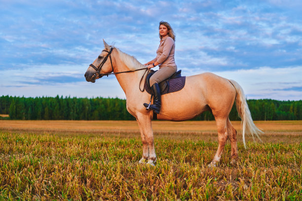 在日落时分骑马穿过草地图片下载
