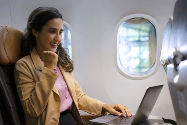 乘客乘坐商用飞机旅行。图片下载