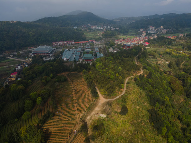 山顶上的梯田茶园和寺庙图片下载