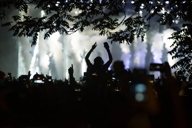 音乐节上跳舞人群的剪影图片下载