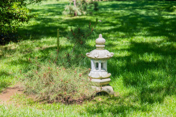 日本花园的宝塔图片下载