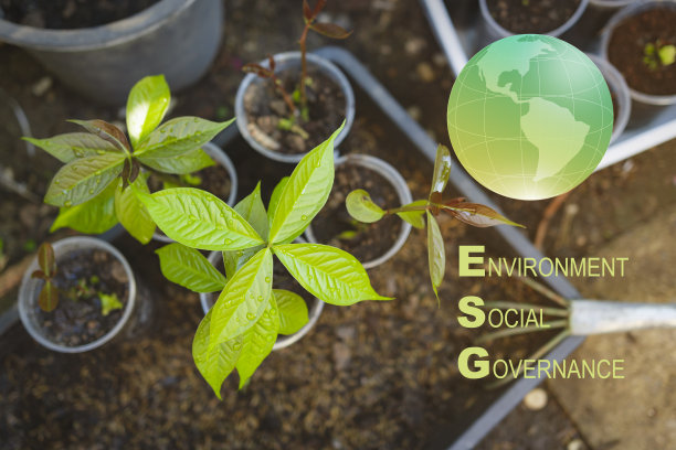 种植园对于环境的ESG概念，
可持续的组织发展。图片下载