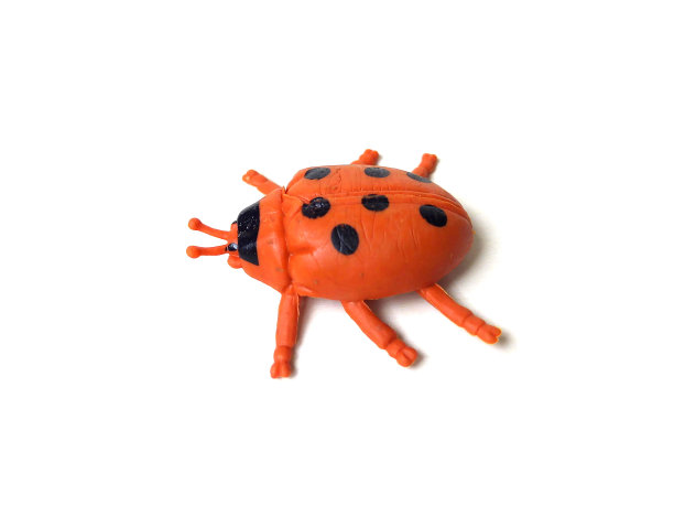在白色背景上孤立的瓢虫玩具的特写。图片下载