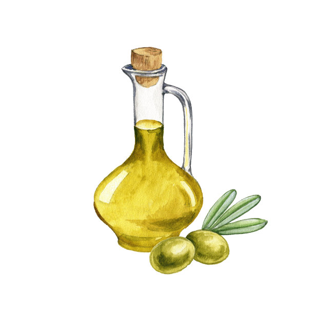 水彩画瓶与橄榄油图片下载