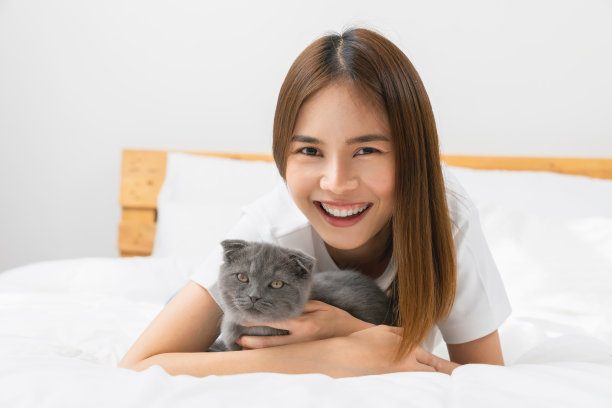 年轻的亚洲女人躺在床上，在房间里玩苏格兰小猫。图片下载