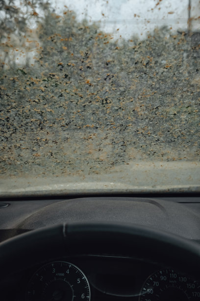 泥雨后的脏车窗图片下载