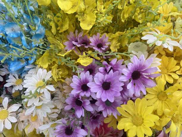 春天的花纸图片下载