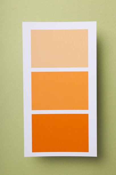 颜色概念的设计，调色板，俯视图图片下载