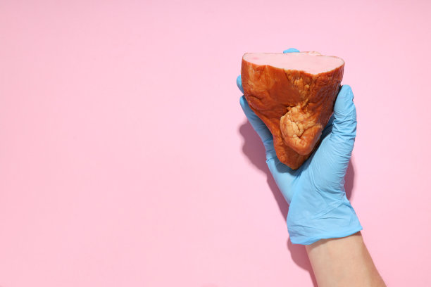 美食概念，肉，火腿，文字空间图片下载