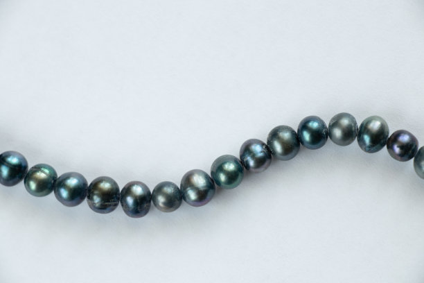 珍珠女珠在一个孤立的背景特写图片下载