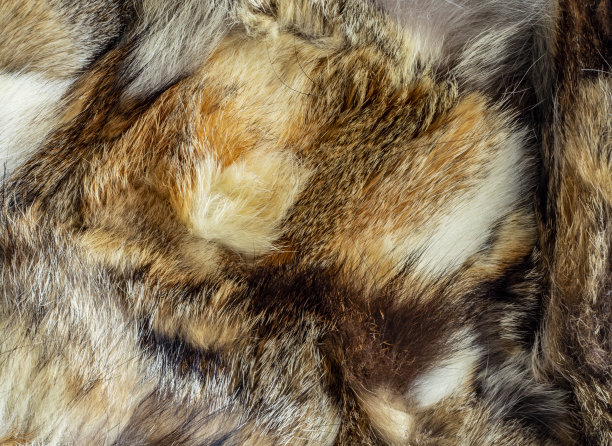 毛皮的背景棕色毛皮大衣的特写图片下载