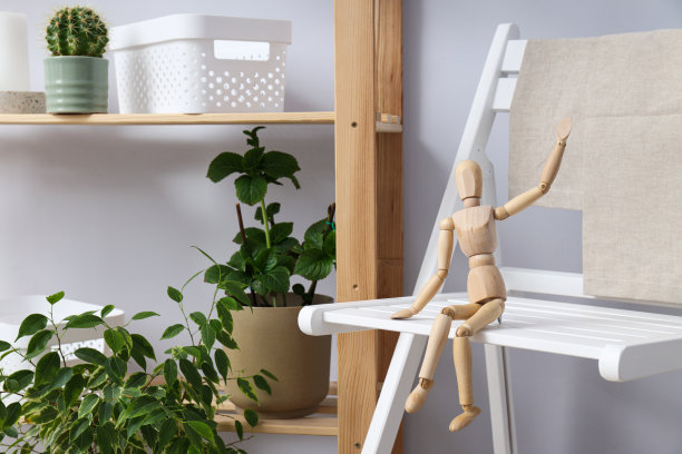 舒适的爱好——在家种植室内植物图片下载