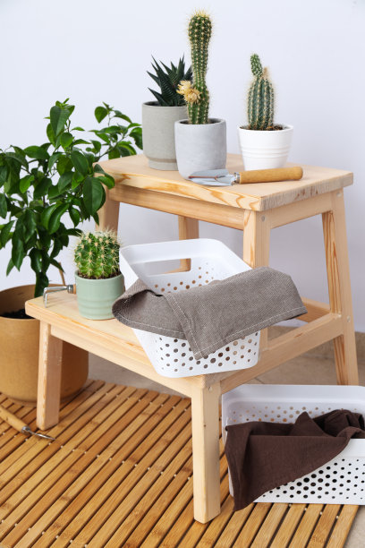 舒适的爱好——在家种植室内植物图片下载