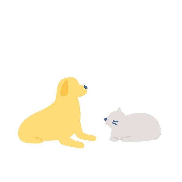 狗和猫躺着。配置文件图片下载