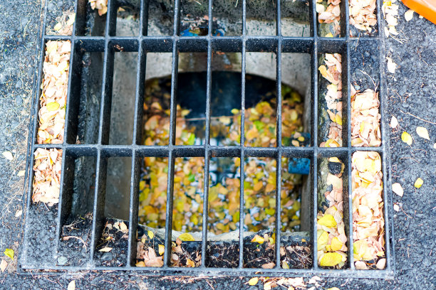 这张照片显示的是通过下水道格栅盖看到的景象，那里的水已经开始腐烂，并被成堆的树叶碎片堵塞。图片下载