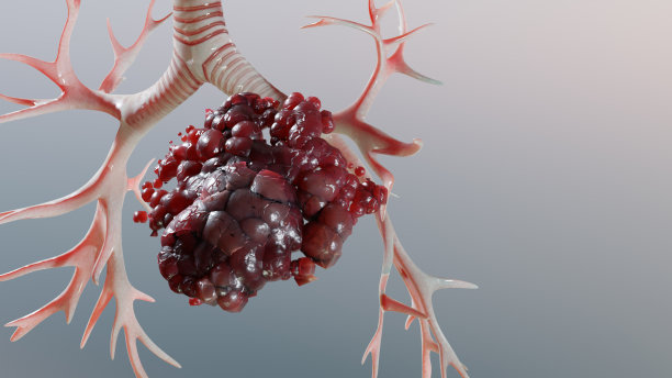 3d，解剖学，解剖学，生物学，身体，呼吸，呼吸，支气管，支气管，癌症，癌，护理，胸部，香烟，诊所，概念，损害，诊断，疾病，流感，健康，健康，人类，疾病，感染，隔离，肺，肺，人，医疗，媒体图片下载