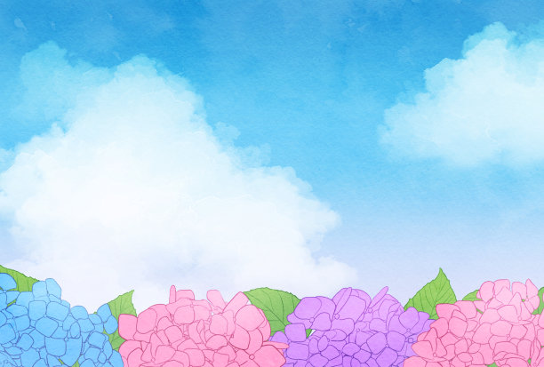 美丽的水彩绣球背景插图图片下载