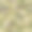 伪装无缝模式图片下载