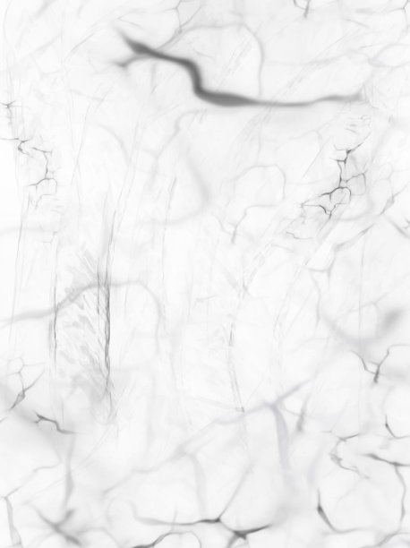 白色大理石纹理矢量背景，用于为您的设计产品创建表面效果，如贺卡的背景，建筑和装饰图案。新潮的模板灵感为您的设计。图片下载