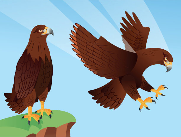 金鹰飞翔，战鹰翱翔图片下载