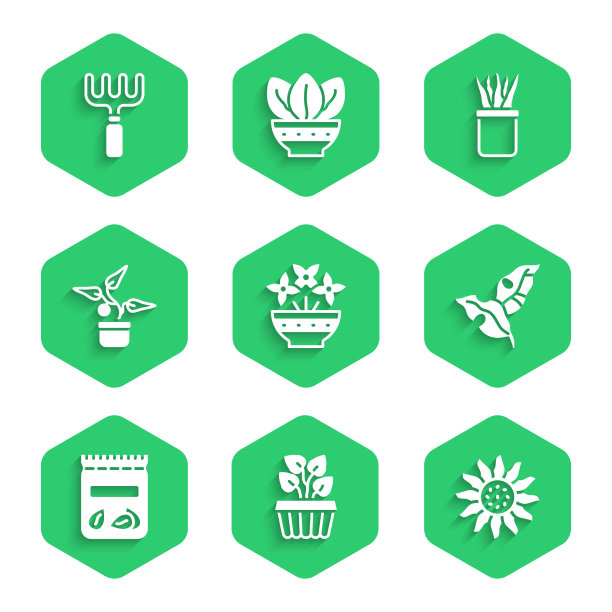 插花室内植物常青藤花盆热带图片下载