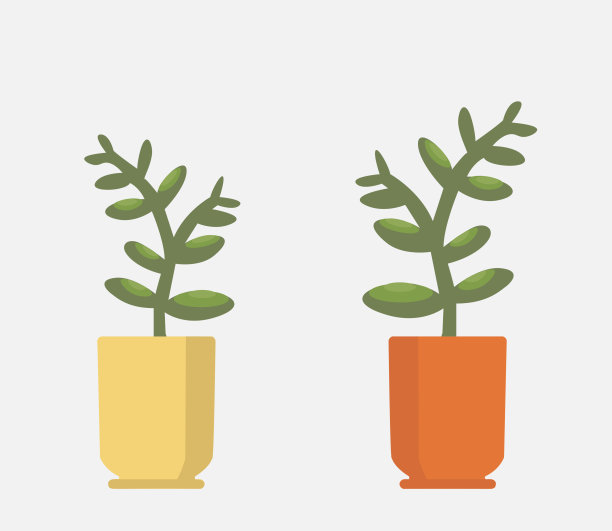 向量现实蕨类在花盆。观赏室内植物。图片下载