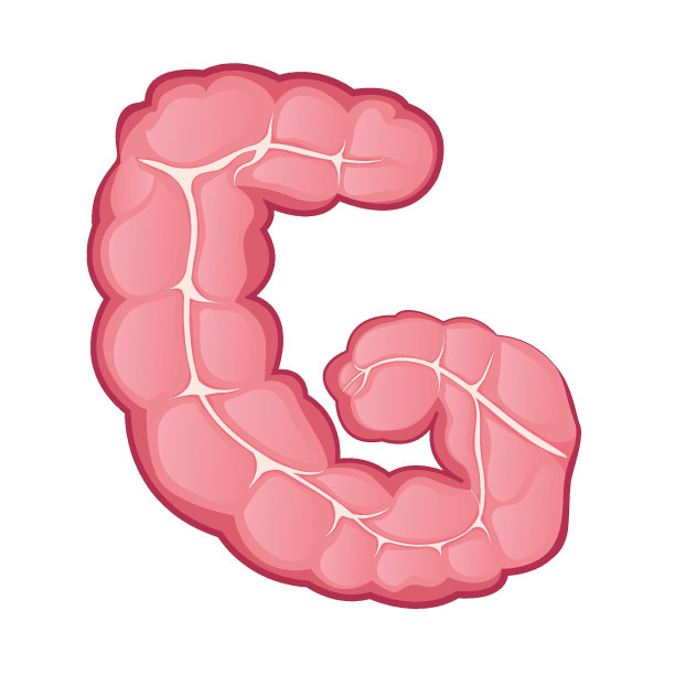 大肠。字母的信图片下载