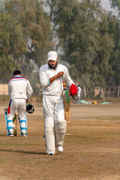 击球手出局，他要从地面出局图片下载