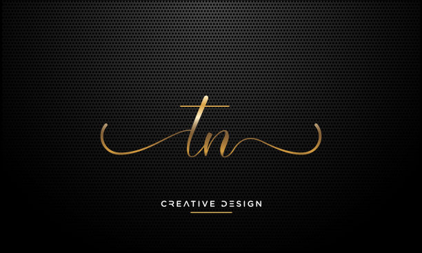 TN, NT抽象字母豪华首字母标志图片下载