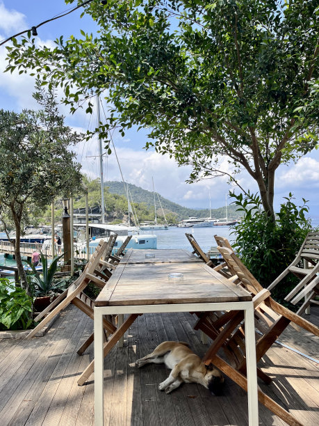 费特希耶的夏天图片下载