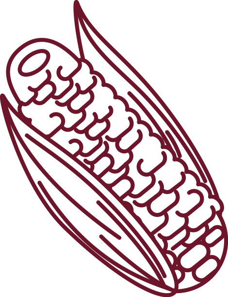 玉米穗轴食物图片下载