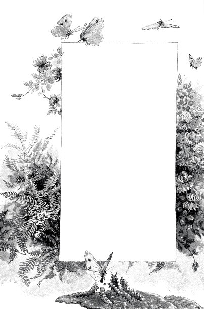 春花架，内仿空间图片下载