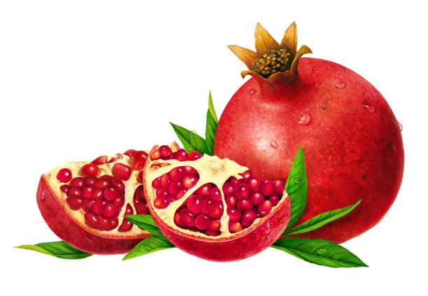 石榴茶组图片下载