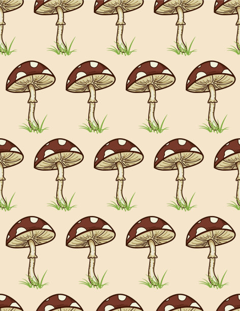 色彩鲜艳的蘑菇模式图片下载