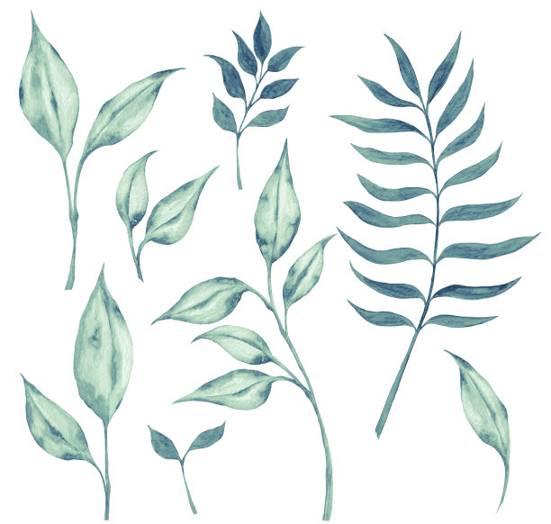 水彩画的叶子图片下载