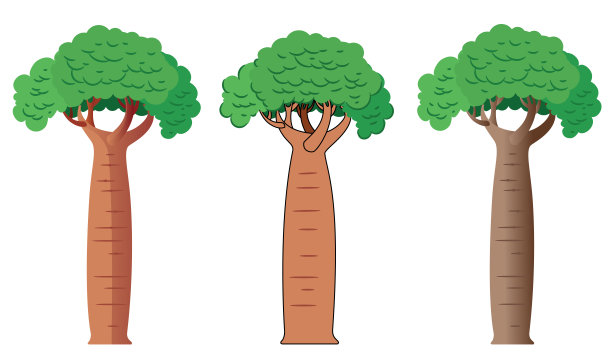 猴面包树树图片下载