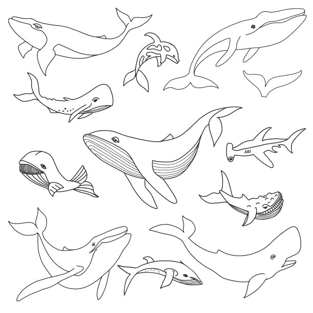 鲸鱼涂鸦集图片下载
