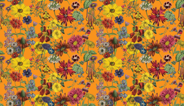 手工着色，维多利亚植物，无缝重复图案。现实的盛开孤立的花复古织物背景。美丽的村舍花园和野花。壁纸巴洛克风格。绘画雕刻。维多利亚时代的插图。图片下载